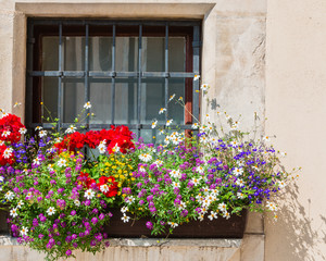 An old wooden window. The facade of an English house in colors. English garden. Background. Summer. Sunny day. Flower.