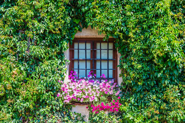 Fototapeta na wymiar An old wooden window. The facade of an English house in colors. English garden. Background. Summer. Sunny day. Flower.