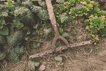 Tillage rake for planting crops