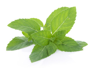 Peppermint on white background