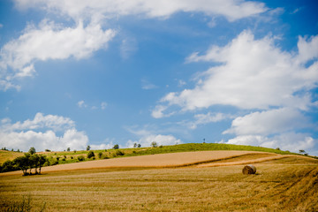 La campagne dans le Parc Naturel R&eacute;gional du Pilat