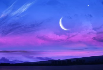 Silhouette of the night city