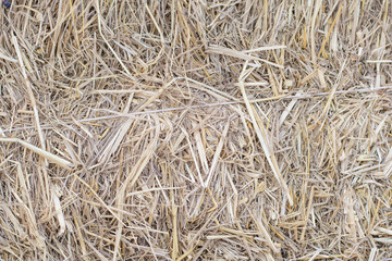 Dry straw closeup for background and Textured.