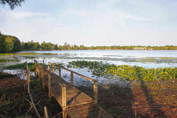 swampy pier in florida