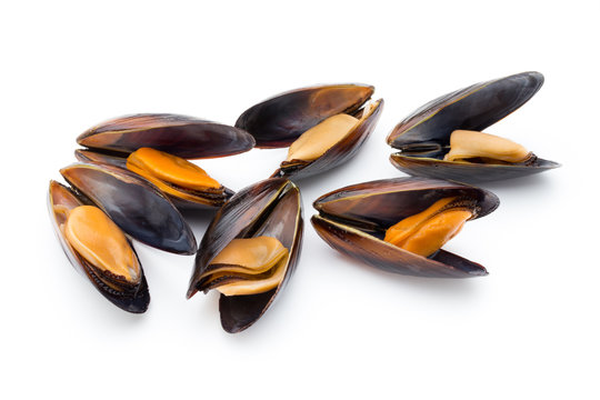 Mussels isolated on white background. Sea food.