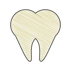 tooth vector illustration