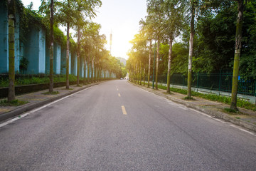 Obraz premium Droga jest w lesie