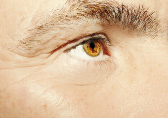 Image of man's beautiful insightful look eye close up.