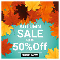 Autumn sale banner with colorful leaves , vector , illustration