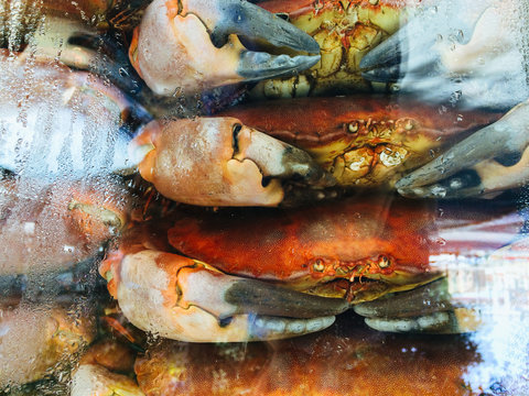 Crabs in a restaurant window