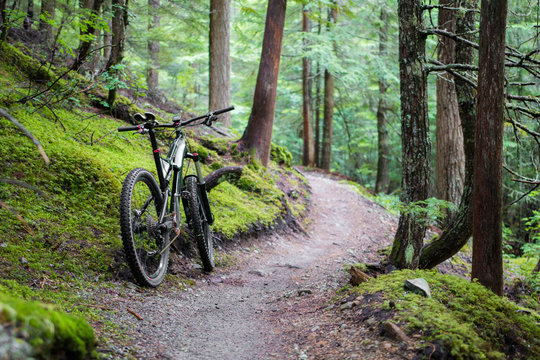 Mountain Bike Trail
