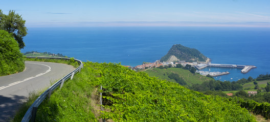 Vineyard and beautiful coast by blue sea, Getaria, coast of Basque Country, Spain