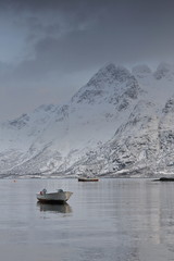 Austnesfjorden-fishingboats moored-bouoy beside Vestpollen village-central Austvagoya island. Nordland fylke-Norway. 0097