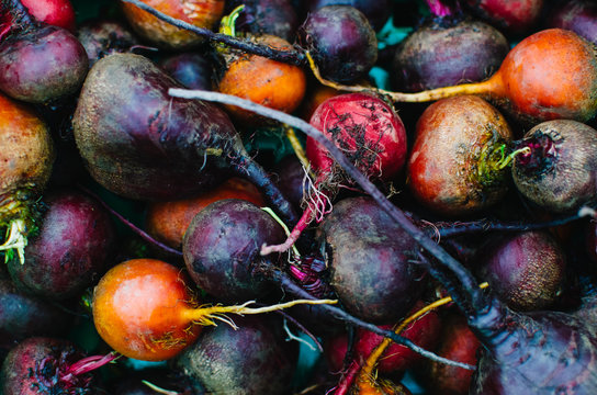 variety of colorful beet roots - Powered by Adobe