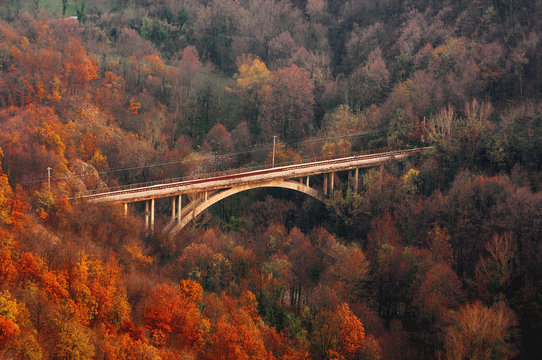 Bridge in autumn landscape