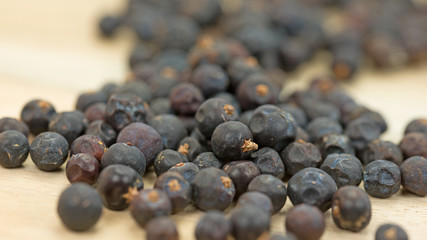 Wacholderbeeren, Wacholder, Juniperus