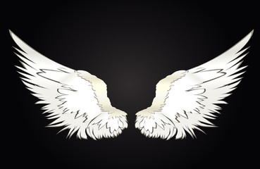 Fototapeta na wymiar Wings. Vector illustration on white background. Black and white style