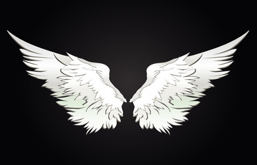 Plakat Wings. Vector illustration on white background. Black and white style
