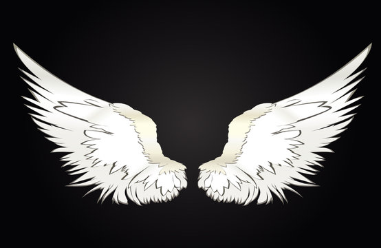 Wings. Vector illustration on white background. Black and white style