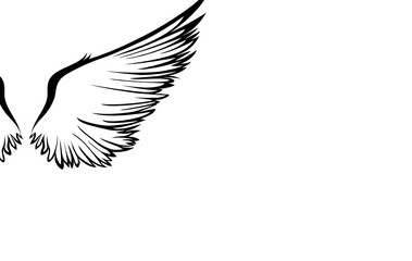 Wings. Vector illustration on white background. Black and white style. Linocut.