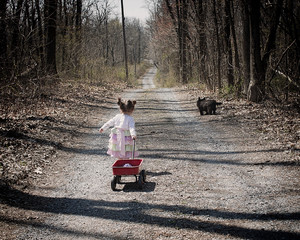 cute little girl pulling wagon with dog on wooded lane - Powered by Adobe