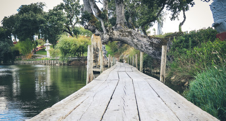 Wood path over a lake with trees in background.Wooden walkway