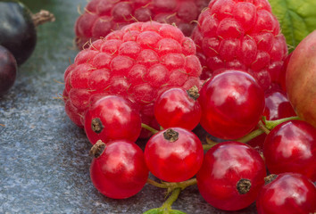 Juicy raspberries, gooseberries, blueberries and liens
