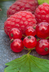Juicy raspberries, gooseberries, blueberries and liens