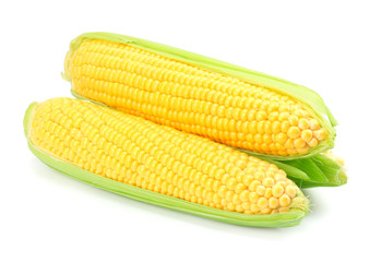 Fresh corn on cob isolated on white background
