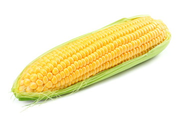 Fresh corn on cob isolated on white background