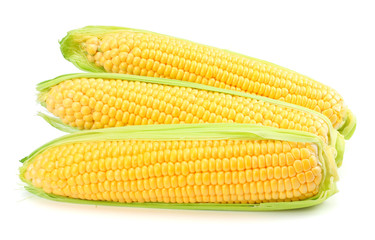 Fresh corn on cob isolated on white background