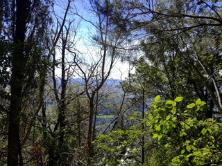 Fiesole, Italy, Firenze