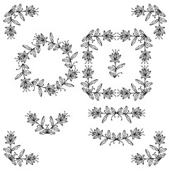 Obraz premium Set of black thin line doodle floral elements with flowers branches and leaves isolated on white background. Vector illustration.