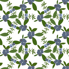 Blueberries vector seamless pattern.