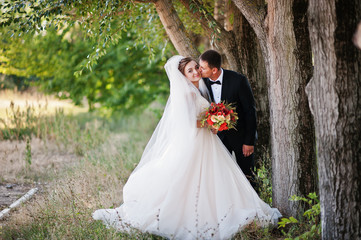Fantastic wedding couple enjoying each other's company in the park.