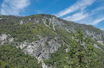 Mountains and forests of the Yosemite National Park