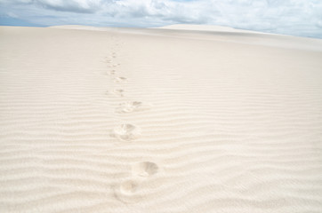 Fototapeta na wymiar Trace of footprints on the sand in the desert