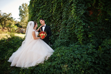 Fantastic wedding couple enjoying each other's company in the park.