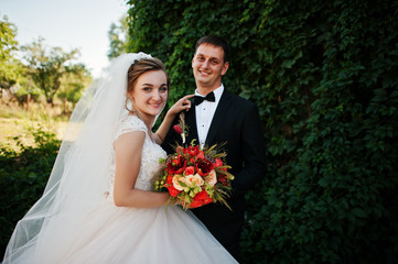 Fantastic wedding couple enjoying each other's company in the park.