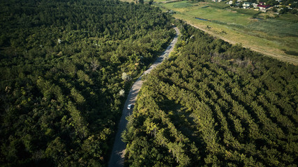 awesome aerial view modern car mooving on road between trees