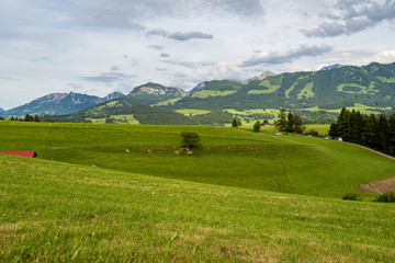 Allgäu - Schweineberg - Ofterschwang