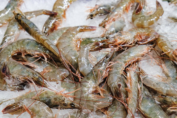 Fresh raw shrimps on ice for sale at the seafood and fish market in Thailand. Food background. Food ingredients.