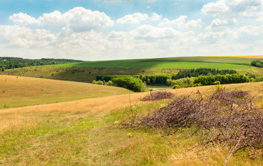Fototapeta na wymiar landscape of countryside with fields