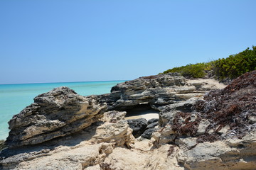 skalisty brzeg morza