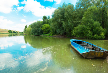 Moored boat near the shore