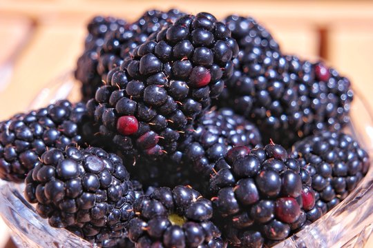 The fresh blackberry in the crochet