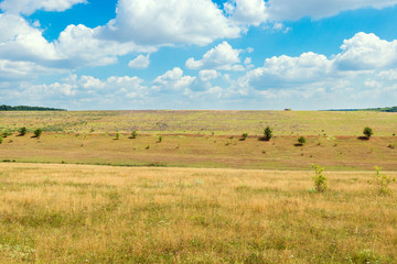 Fototapeta na wymiar Landscape of countryside with fields