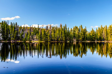 This is Nymph Lake in the Rocky Mountain National Park in Colorado.