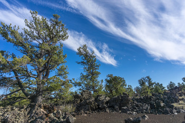 Craters of the Moon National Monument Vista