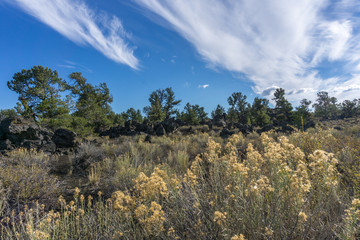 Craters of the Moon National Monument Vista with Grasses and Scrub